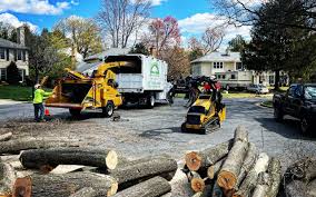 Best Lawn Irrigation Installation and Maintenance  in Magnolia, NJ